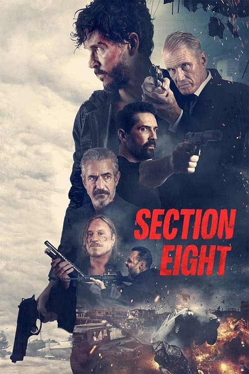 Poster phim Section 8
