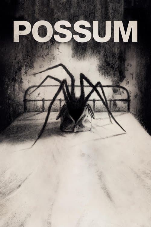 Poster phim Hình Nhân Possum
