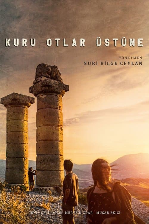 Poster phim Những Ngọn Cỏ Khô