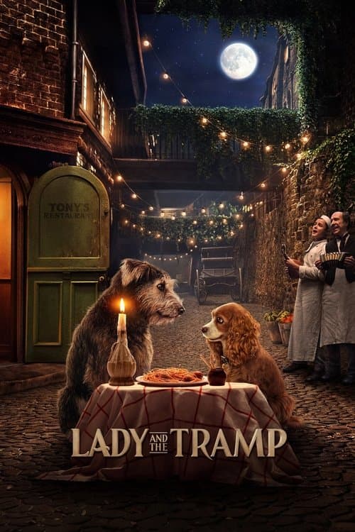 Poster phim Tiểu Thư và Gã Lang Thang