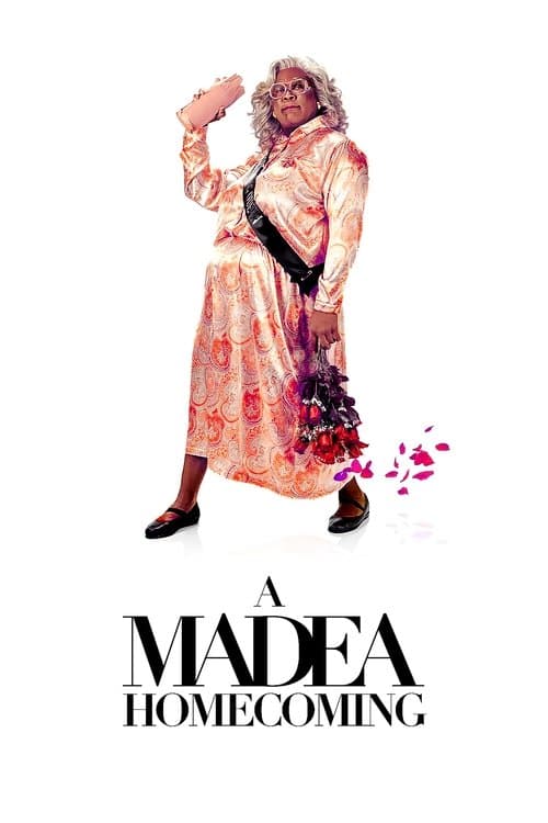 Poster phim Madea Trở Về Nhà