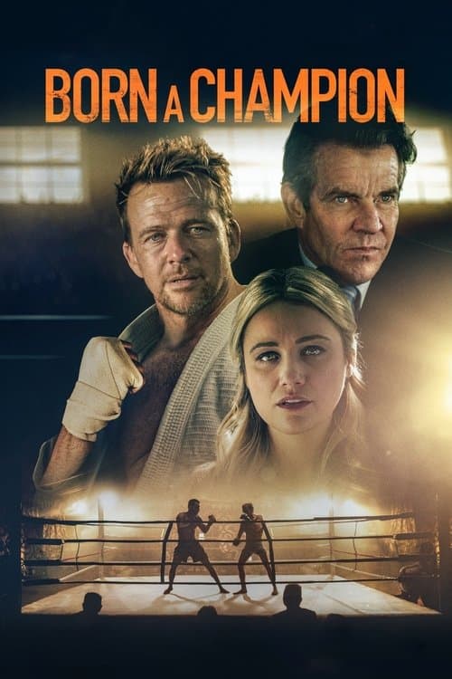 Poster phim Võ Sĩ Trở Lại