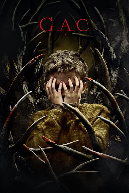 Poster phim Gạc