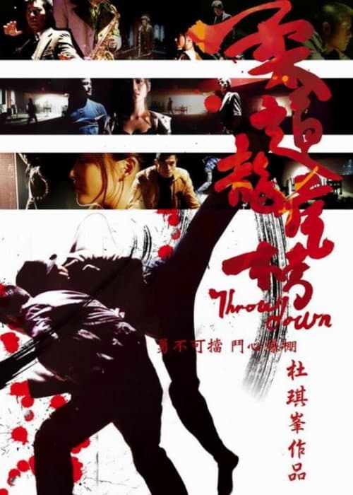 Poster phim Nhu Đạo Long Hổ Bang