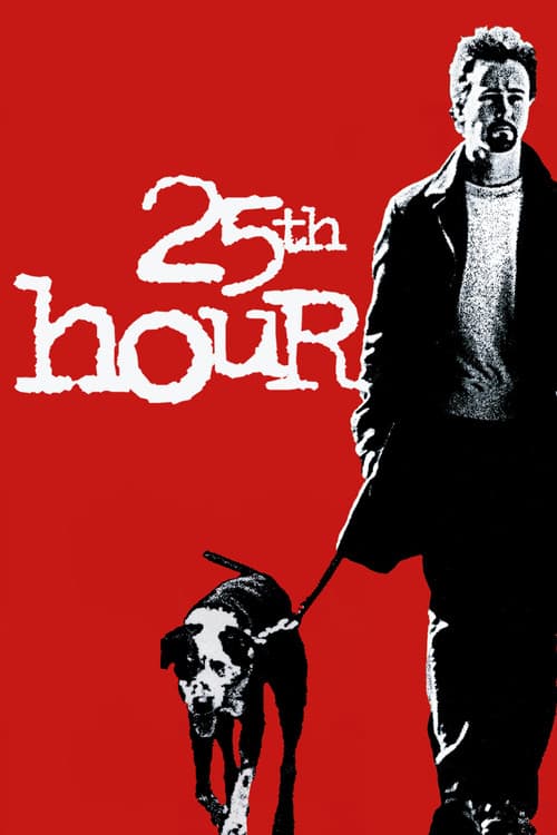 Poster phim 25th Hour