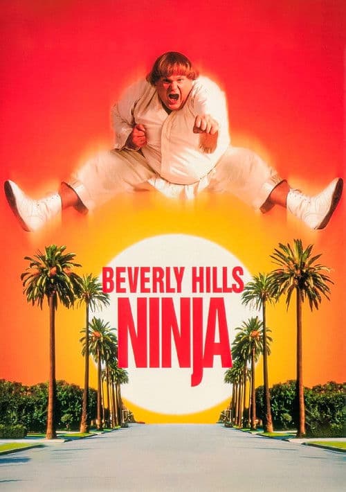 Poster phim Ninja Đồi Beverly