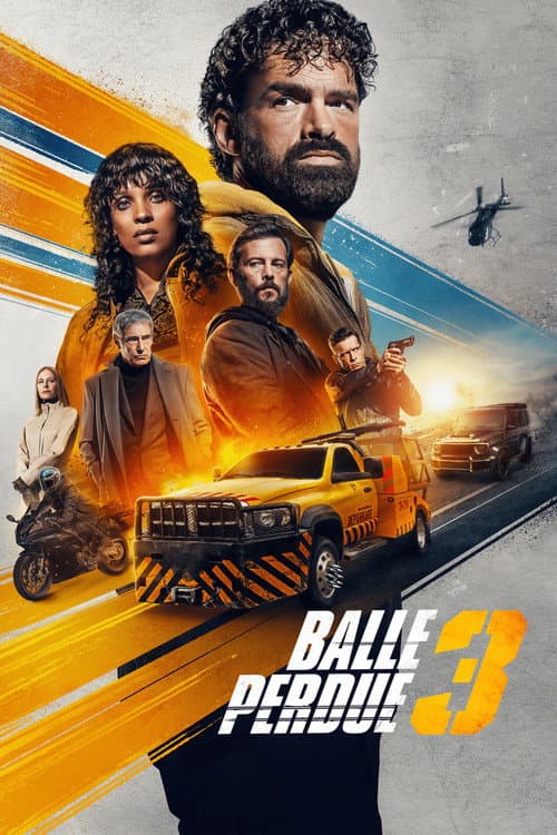 Poster phim Đạn Lạc 3