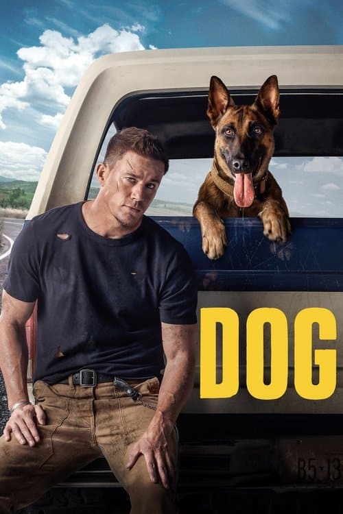 Poster phim Dog