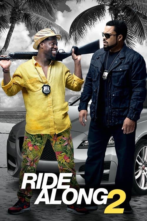 Poster phim Bộ Đôi Cảnh Sát 2